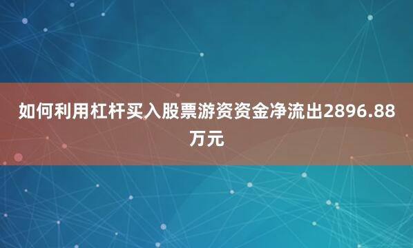 如何利用杠杆买入股票游资资金净流出2896.88万元