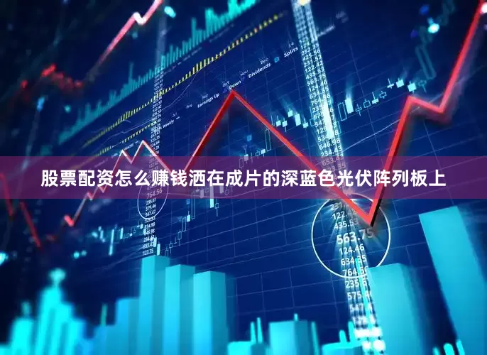 股票配资怎么赚钱洒在成片的深蓝色光伏阵列板上