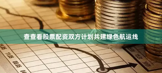 查查看股票配资双方计划共建绿色航运线